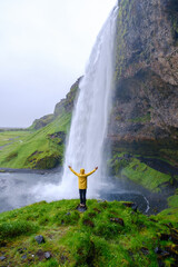 A traveler stands in awe before the breathtaking Seljalandsfoss waterfall in Iceland. The lush...