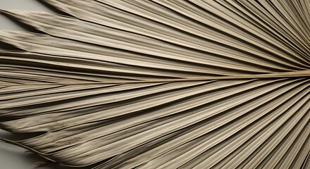 Dried palm leaf texture with natural lines and muted colors