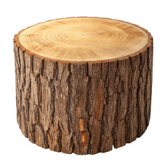 Realistic Wooden Tree Stump Clipart &ndash; Natural Wood Log Slice PNG with Bark Texture