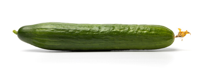 Photo of green ripe natural organic cucumber isolated on white background