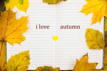 An open notebook with the words I love autumn surrounded by vibrant yellow leaves 