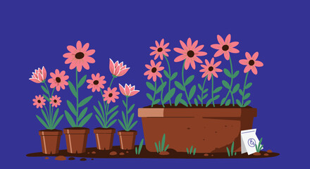 Colorful Flowers Growing in Brown Terracotta Pots.