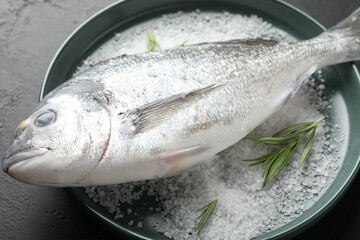 Fresh raw dorado fish, salt and rosemary in bowl on black table, closeup. Organic seafood