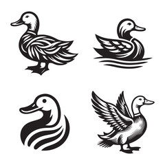 Fototapeta premium Collection of four detailed black and white duck illustrations in various poses and styles
