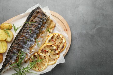 Homemade seafood dish. Tasty roasted mackerel with spices and potatoes on grey table, top view. Space for text