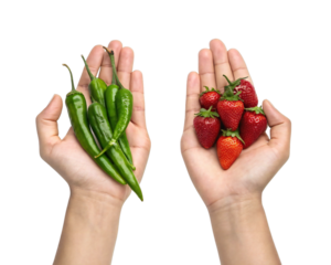 Two hands holding green chili peppers and red strawberries isolated on transparent background, symbolizing contrast, choice, health, or food diversity concepts