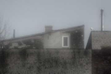 Blurry view of a weathered old building with a brick wall, single window, and a seagull perched on...