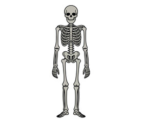 Halloween Skeleton Clipart, Spooky Bones Vector, Haunted Skeleton PNG, Scary Halloween Art
