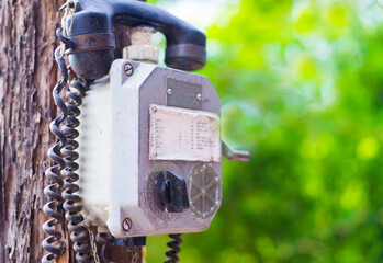 Old telephone on the tree with green bokeh background, stock photo