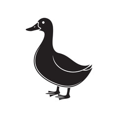 Simple black silhouette of a domestic duck standing on a white background