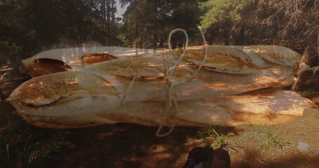 Hanging tied baguette loaves over pine forest clearing, showcasing dreamlike woodland contrast