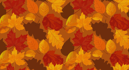 Fototapeta premium Autumn Leaves Pattern