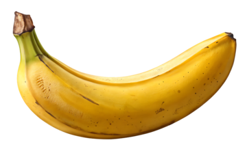 Single ripe yellow banana with brown stem and natural spotting marks, isolated on a transparent background