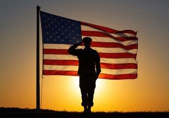 Veterans Day Flag Salute