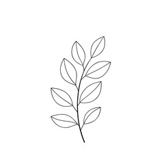 Decorative Nature Icon-leaf outline 

