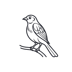 Bird Sitting on Branch – Outline Wildlife Sketch

