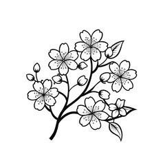 Cherry Blossom Branch Line Art – Floral Spring Outline

