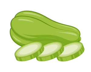 Chayote Squash Vector Illustration Fresh Green Vegetable Culinary Ingredient