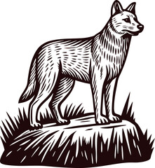 Hand drawn wild wolf standing on rocky ground vintage engraved animal illustration