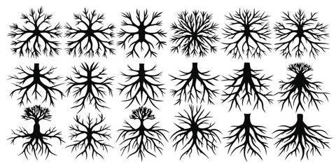 Silhouetted Arboral Assortment A Top View Black and White Tree Silhouettes Collection Artistic Tree Illustrations Botanical Tree Drawings Nature Inspired Graphics