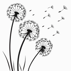 Delicate Dandelions Dancing in the Breeze A Silhouette of Nature's Grace