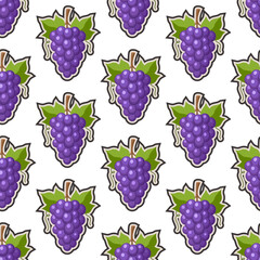 Grapes seamless pattern. Vector illustration isolated on white background.