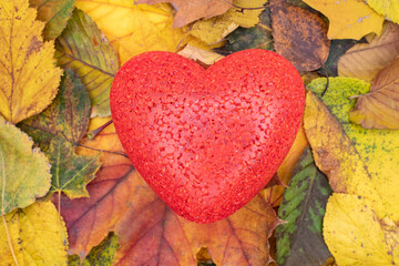 Heart-shaped decoration surrounded by autumn leaves in vibrant colors