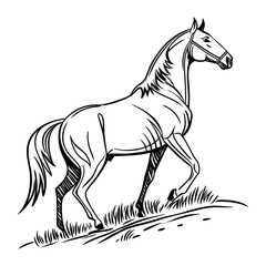 Black and White Horse Illustration