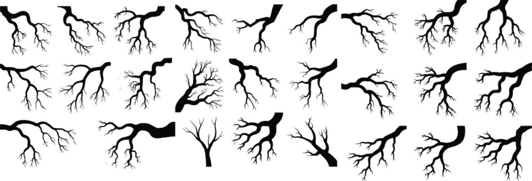 Collection of black tree branch silhouettes. Set of bare, leafless twigs and limbs for design, isolated on white background.