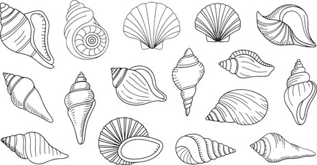 Set of various hand-drawn seashell outline sketches