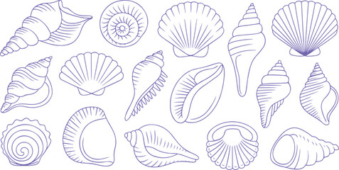 Seashell Collection Delicate Coastal Line Art
