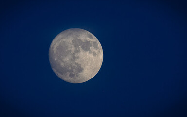 A serene full moon rises into a clear blue evening sky, casting a calming glow. A peaceful celestial scene capturing the beauty of dusk and nature's quiet moments