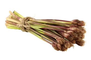 Fresh Garlic Scapes Bundled Organic Produce Harvest