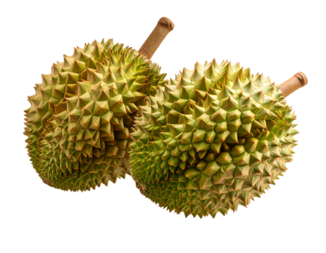  Floating Spiky Durian Fruits with Drop Shadow