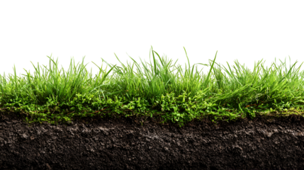 Lush green grass and dark soil cross section nature background