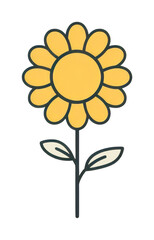 PNG Sunflower petal plant inflorescence.