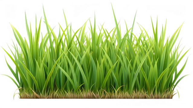 Lush green grass illustration on transparent background for design projects