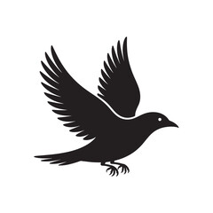 Fototapeta premium Silhouette of a black bird with outstretched wings in mid flight isolated on white background