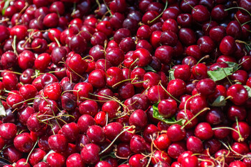 red cherries background