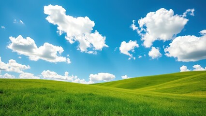 Fototapeta premium Rolling green hills under a bright blue sky with fluffy white clouds