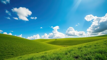 Fototapeta premium Rolling green hills under a bright blue sky with fluffy white clouds