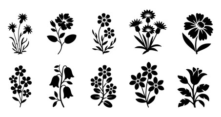 Black floral silhouettes on white background flower