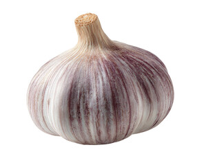 Close-up of a whole head of garlic, light purplish-pink stripes, bulbous shape, centered on black background