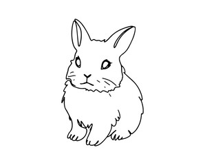 Rabbit hand drawn in line art style on a white background.