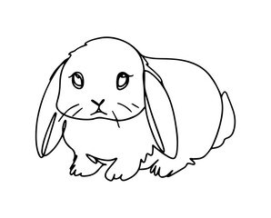 Rabbit hand drawn in line art style on a white background.