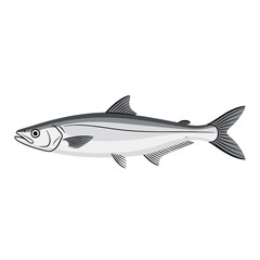 Obraz premium A detailed illustration of a single, silver-colored fish on a plain white background.