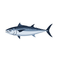 Obraz premium A detailed illustration of a mackerel fish in a side profile, isolated on white.