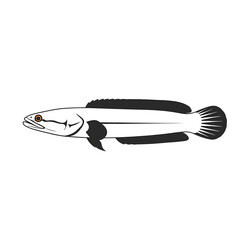 A detailed illustration of a fish, depicted in black and white, isolated on white background.