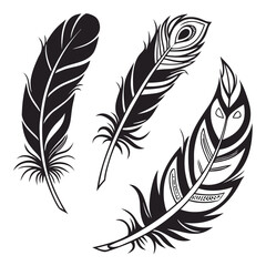 Obraz premium Vector Silhouette Collection of Artistic Feathers