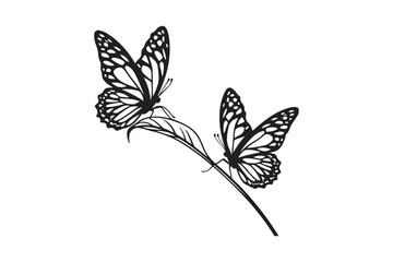 Two monarch butterflies perched on a delicate stem